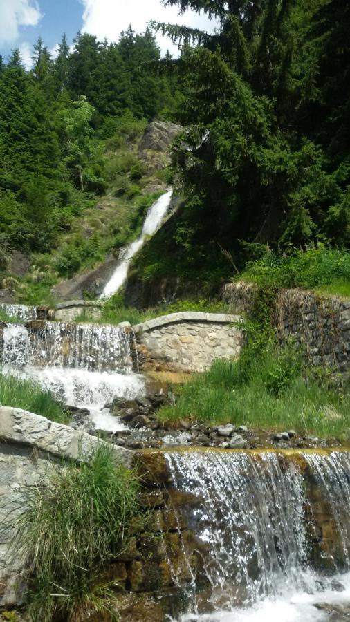 فندق Rifugio Stella Alpina Saviore dell'Adamello المظهر الخارجي الصورة